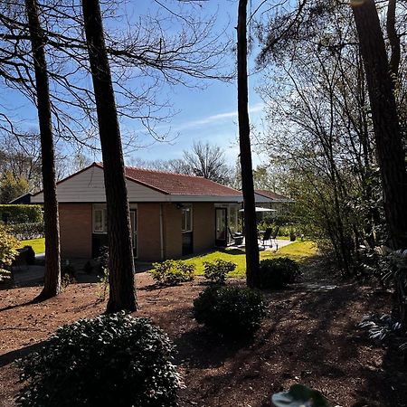 Fijne Plek Met Eigen Bos 2000M2 En Gratis Linnen En Handdoeken!! Денекамп Экстерьер фото