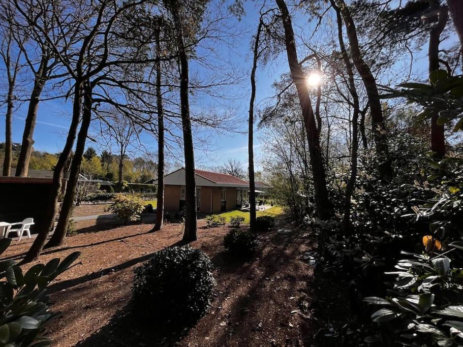 Fijne Plek Met Eigen Bos 2000M2 En Gratis Linnen En Handdoeken!! Денекамп Экстерьер фото